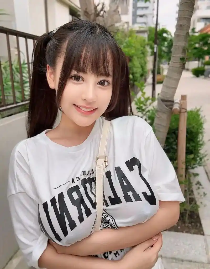 隐入尘烟 封面